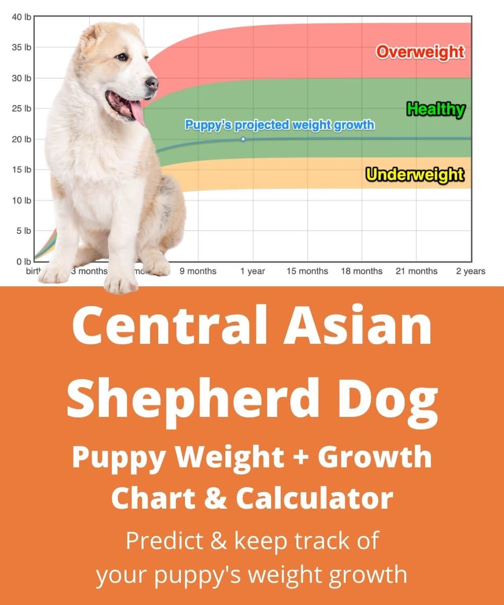 central-asian-shepherd-dog Puppy Weight Growth Chart